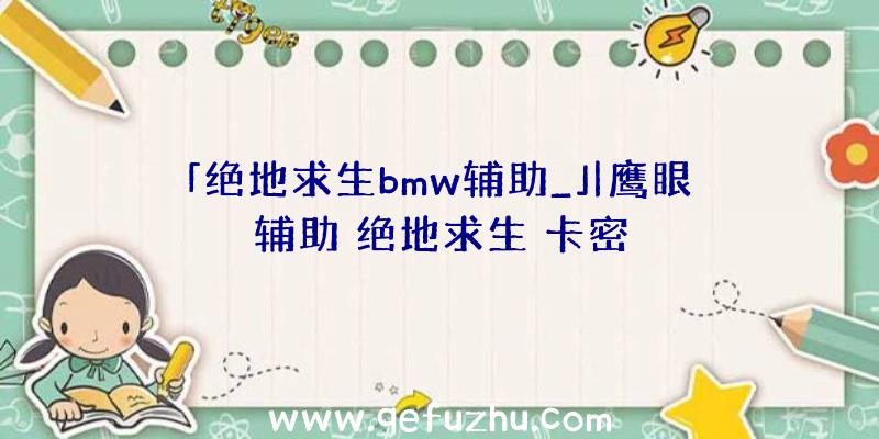 「绝地求生bmw辅助_」|鹰眼辅助